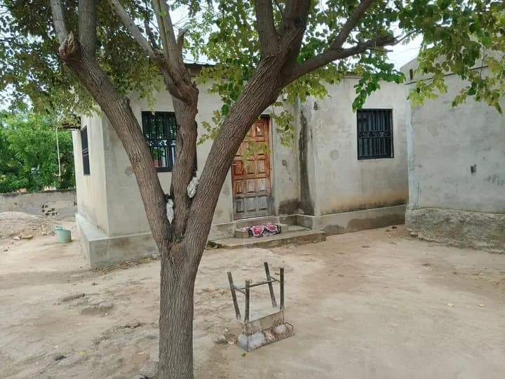 PROPRIEDADE COM DUAS CASAS NO MESMO QUINTAL - Visualização 1